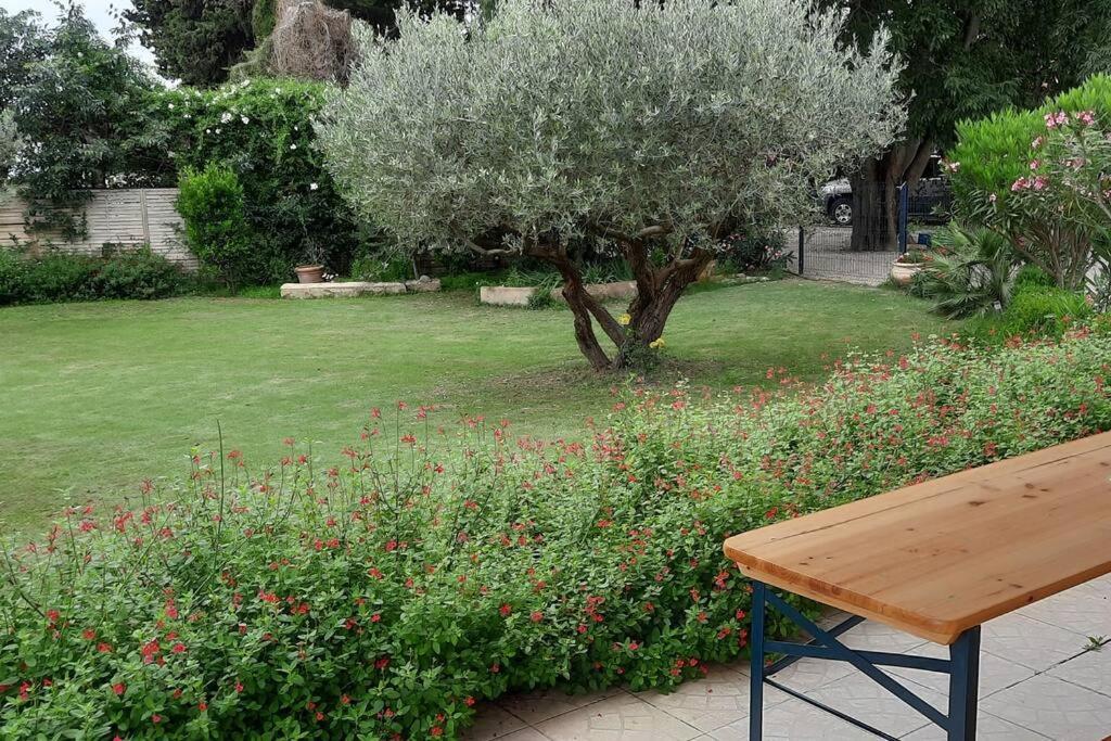 Villa L'Estel En Campagne Avec Piscine Privee Proche Arles Et Avignon Tarascon Zewnętrze zdjęcie